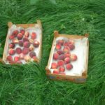 Wir haben geerntet: Pfirsiche aus Hannover-Linden