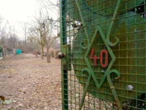 Baumschnitt im Gemeinschaftsgarten am Lindener Berg